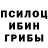 Псилоцибиновые грибы Psilocybe artinleather