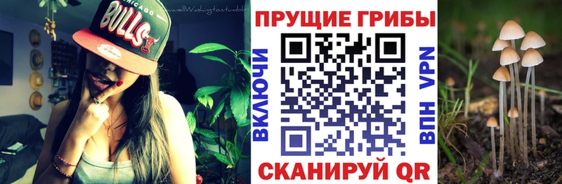 Галлюциногенные грибы мухоморы  закладки  Чухлома 